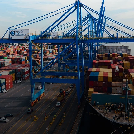 Blue cranes above a container terminal